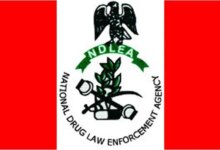 NDLEA logo