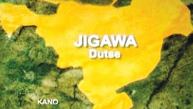 NIS Foils Human Trafficking of Six People at Niger Border