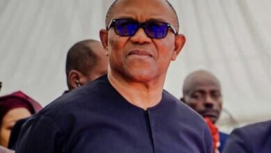 Peter Obi Support Groups Form Committee for 2027 Election