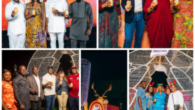 In Three Cities, One Festive Glow, Martina Lights Up Christmas Across Nigeria – THISDAYLIVE