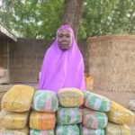 Woman arrested for supplying drugs to terrorists in North-Ea