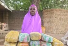 Woman arrested for supplying drugs to terrorists in North-Ea