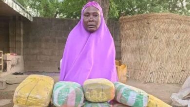 Woman arrested for supplying drugs to terrorists in North-Ea