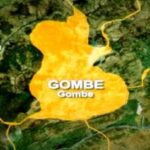 Gombe State map