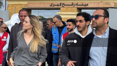 Angelina Jolie visits Rafah border, urges urgent Gaza aid
