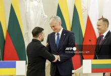 Zelensky seeks more air defence amid Russian Kyiv strikes