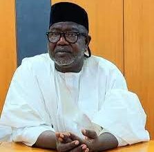 Gada Dumps ADC, Returns to PDP – THISDAYLIVE