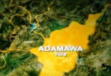 Adamawa State map