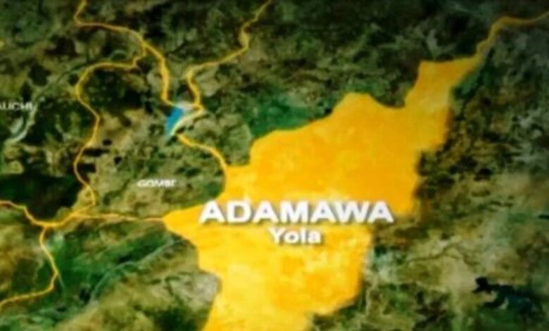 Adamawa State map