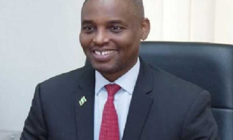 Regional Airline Will Improve Connectivity in Underserved States – THISDAYLIVE