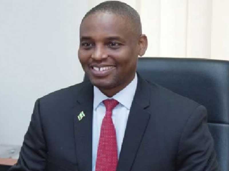 Regional Airline Will Improve Connectivity in Underserved States – THISDAYLIVE