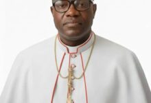 For His Silence over Terorrists’ Activities in Sokoto, Kukah Must Apologise to Nigerians, World, Says Bishop Fagbohun – THISDAYLIVE