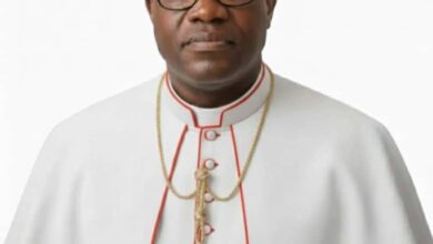 For His Silence over Terorrists’ Activities in Sokoto, Kukah Must Apologise to Nigerians, World, Says Bishop Fagbohun – THISDAYLIVE