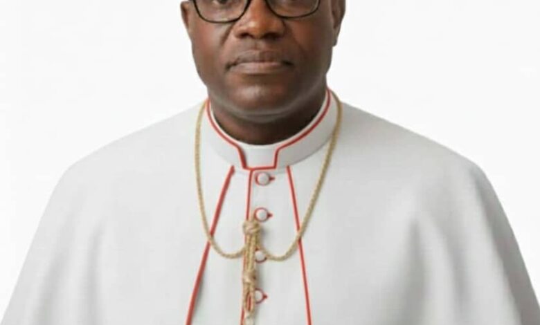 For His Silence over Terorrists’ Activities in Sokoto, Kukah Must Apologise to Nigerians, World, Says Bishop Fagbohun – THISDAYLIVE