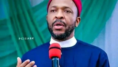 Nigeria Is Being Run Like A Cartel, Not A Government  – THISDAYLIVE