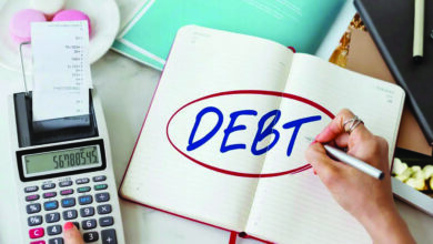 How 2025 Taught Us to Turn Debt into Wealth – THISDAYLIVE