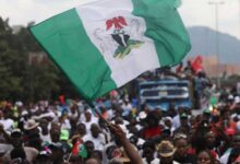 Year of Politicking or Good Governance? – THISDAYLIVE