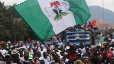 Year of Politicking or Good Governance? – THISDAYLIVE