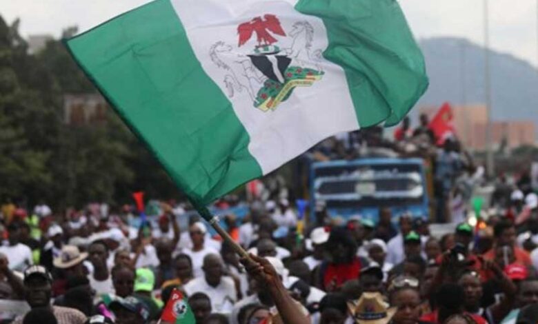 Year of Politicking or Good Governance? – THISDAYLIVE