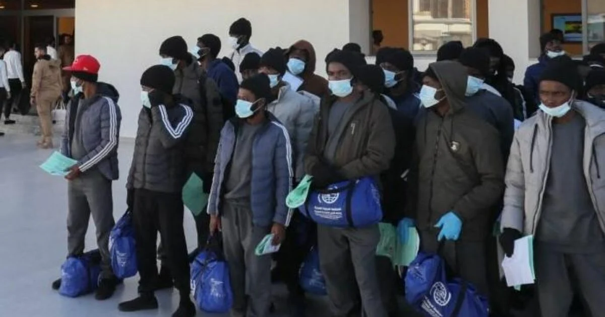 Canada deports 366 Nigerians as removals increase