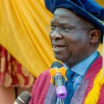 I'm An Arrogant Nigerian, Fashola on Citizenship