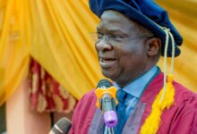 I'm An Arrogant Nigerian, Fashola on Citizenship