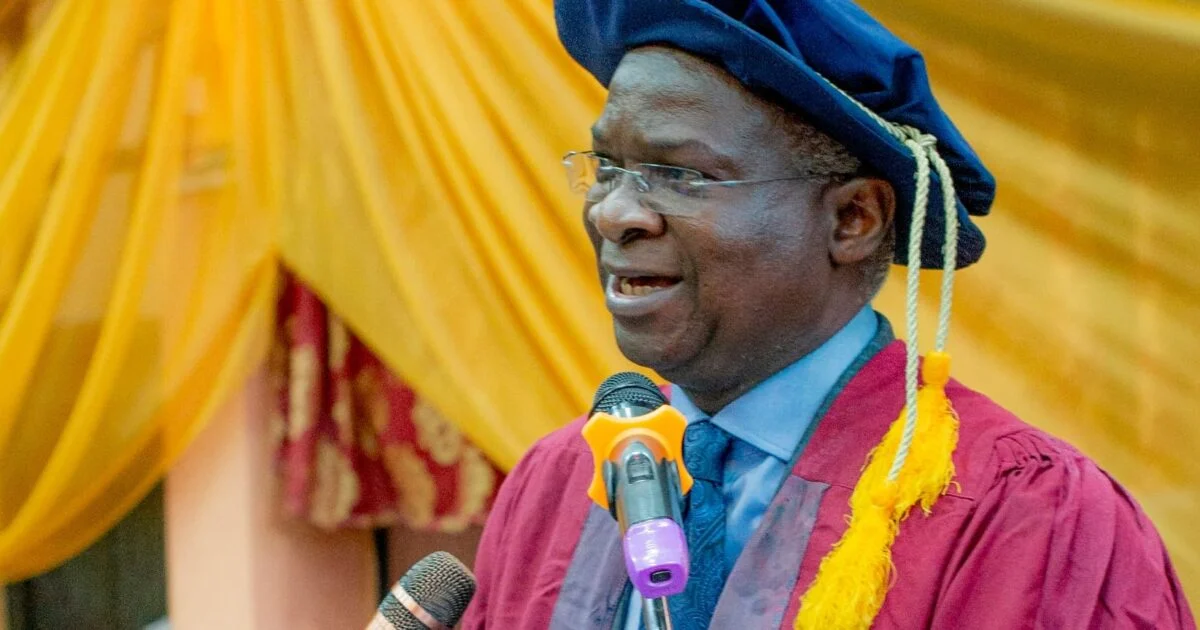 I'm An Arrogant Nigerian, Fashola on Citizenship