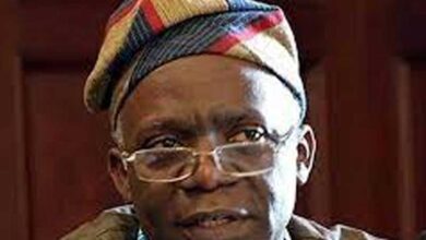 Falana Calls on Lagos to Halt Illegal Waterfront Demolitions – THISDAYLIVE