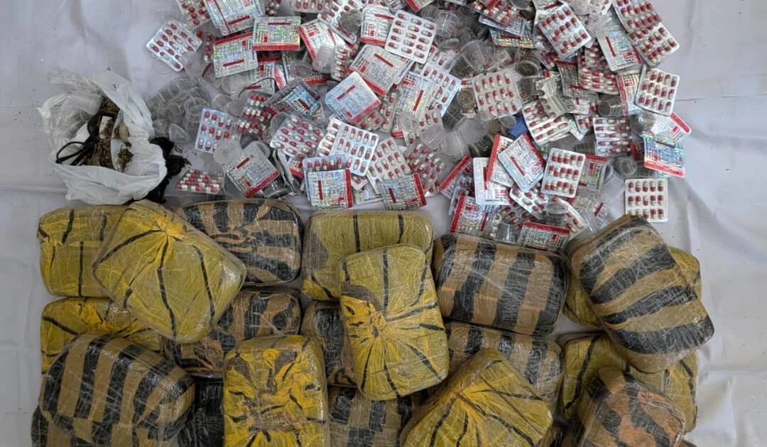 Police arrest notorious drug dealer, five thugs in Kano