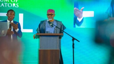 Ex-lawmakers endorse Tinubu, seek rotational presidency