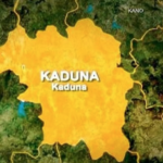 Kaduna Farmers Seek FG Bailout After N10.16bn Maize Losses – THISDAYLIVE