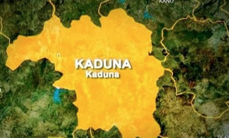 Kaduna Farmers Seek FG Bailout After N10.16bn Maize Losses – THISDAYLIVE