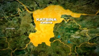Katsina State map