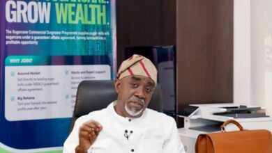 NSDC Clarifies Nigeria Sugar Institute's Role & Reforms