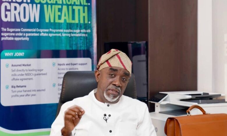 NSDC Clarifies Nigeria Sugar Institute's Role & Reforms