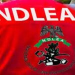 NDLEA Nabs Notorious Drug Kingpin ‘Kanmo-Kanmo’ After 12-Year Manhunt  – THISDAYLIVE