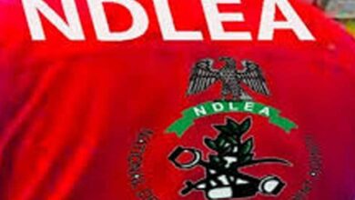 NDLEA Nabs Notorious Drug Kingpin ‘Kanmo-Kanmo’ After 12-Year Manhunt  – THISDAYLIVE