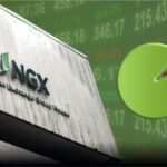 With 129.6% Gain, NGX Consumer Goods Emerges Best Performing Index in 2025 – THISDAYLIVE