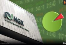 With 129.6% Gain, NGX Consumer Goods Emerges Best Performing Index in 2025 – THISDAYLIVE