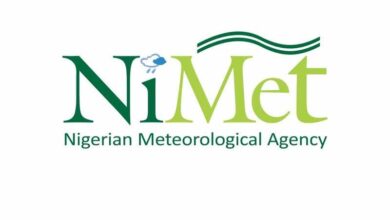 NiMet Inaugurates AI Research, Integration Team To Strengthen Innovation – THISDAYLIVE