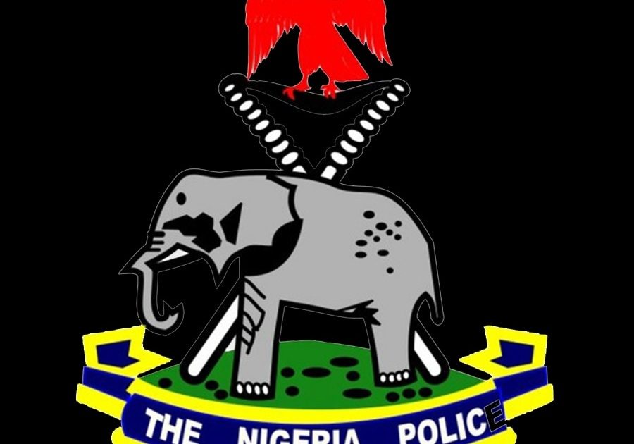 Police rescue kidnapped South African-based man in Anambra