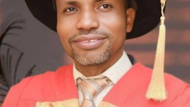 UNIOSUN postgraduate college gets new acting provost