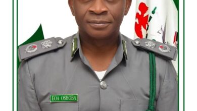 Customs, NDLEA seize 347.5kg cannabis at Apapa port