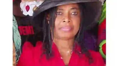 Arrest, Prosecute Killers of Abuja Female Lawyer, Princess Mediatrix, NBA Tasks Police – THISDAYLIVE