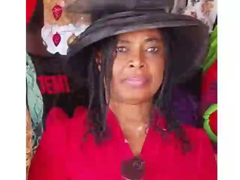 Arrest, Prosecute Killers of Abuja Female Lawyer, Princess Mediatrix, NBA Tasks Police – THISDAYLIVE