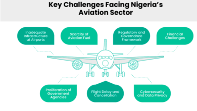 Experts Kick against Proliferation of Airlines without AOC by State Governments – THISDAYLIVE
