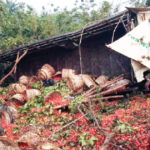 One killed, eight injured in Lagos-Ibadan Expressway crash