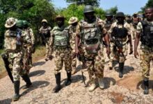 Troops Frustrate Planned Attacks, Clear Terrorist Hideouts – THISDAYLIVE