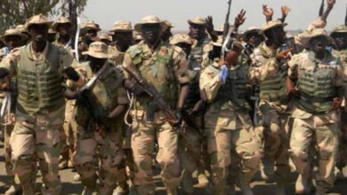 Troops Eliminate Five Terrorists, Rescue Kidnapped Hostages in Borno – THISDAYLIVE