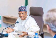 With the Scale of FG’s Projects Everywhere, Kaduna Will Re-elect Tinubu – THISDAYLIVE